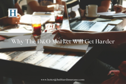 Why The D&O Market Will Get Harder
